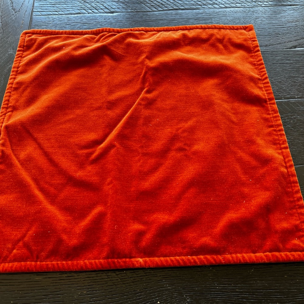 Pottery Barn Washed Velvet Pillow Cover